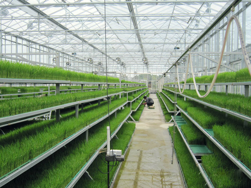 蔬菜大棚建設的兩種拱架材料